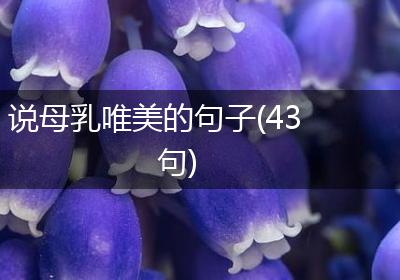 说母乳唯美的句子(43句)