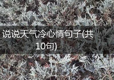 说说天气冷心情句子(共10句)