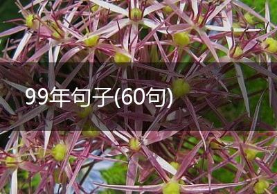 99年句子(60句)