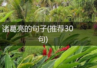 诸葛亮的句子(推荐30句)
