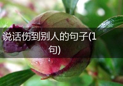 说话伤到别人的句子(1句)