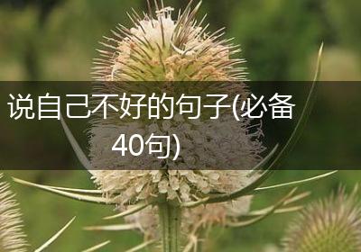 说自己不好的句子(必备40句)