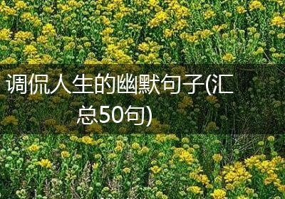 调侃人生的幽默句子(汇总50句)