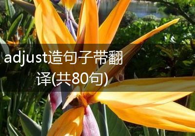 adjust造句子带翻译(共80句)