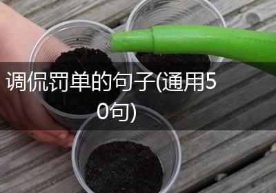 调侃罚单的句子(通用50句)