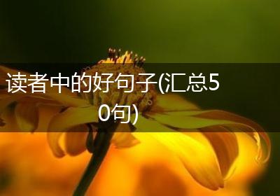 读者中的好句子(汇总50句)