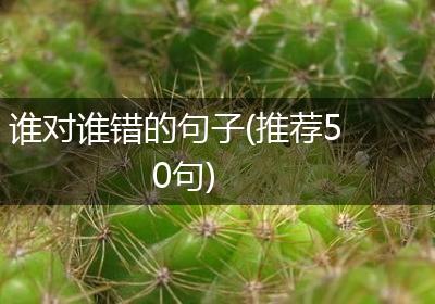 谁对谁错的句子(推荐50句)