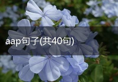 aap句子(共40句)