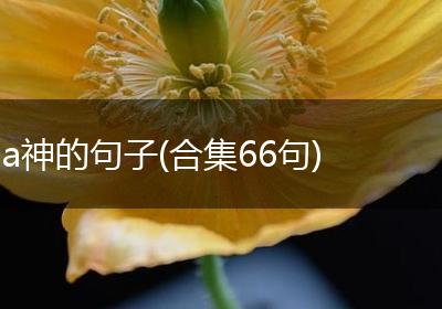 a神的句子(合集66句)