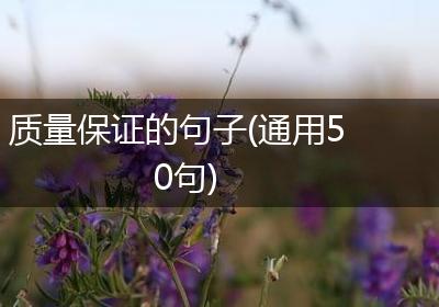 质量保证的句子(通用50句)