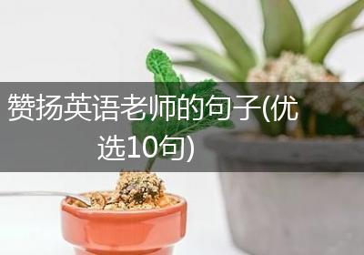 赞扬英语老师的句子(优选10句)