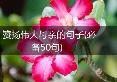 赞扬伟大母亲的句子(必备50句)