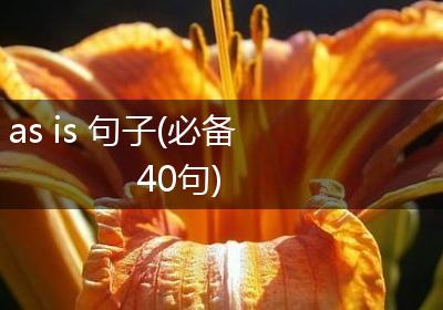 as is 句子(必备40句)