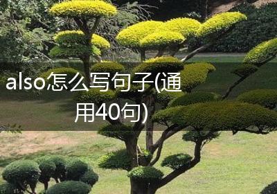 also怎么写句子(通用40句)