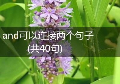 and可以连接两个句子(共40句)