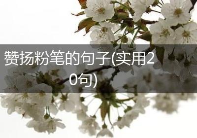 赞扬粉笔的句子(实用20句)