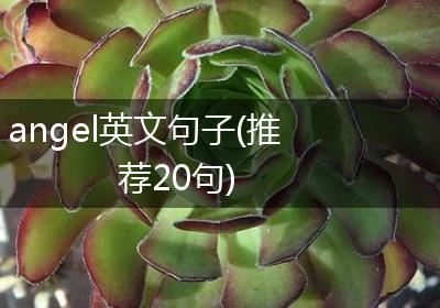 angel英文句子(推荐20句)