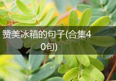 赞美冰箱的句子(合集40句)
