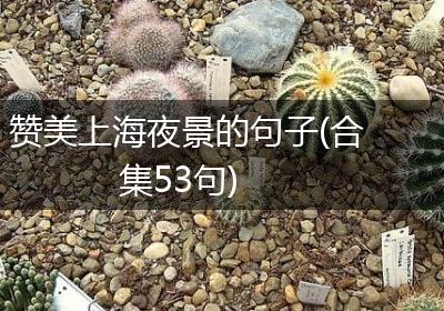 赞美上海夜景的句子(合集53句)