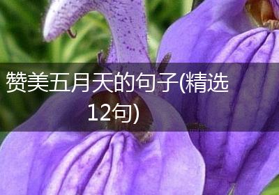 赞美五月天的句子(精选12句)