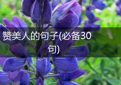 赞美人的句子(必备30句)