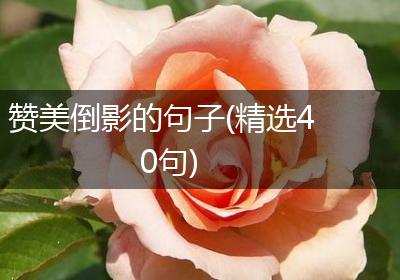 赞美倒影的句子(精选40句)