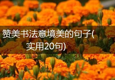 赞美书法意境美的句子(实用20句)