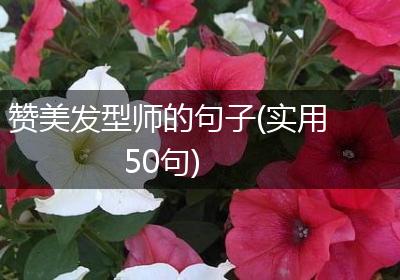 赞美发型师的句子(实用50句)
