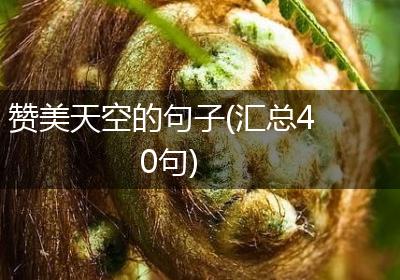 赞美天空的句子(汇总40句)