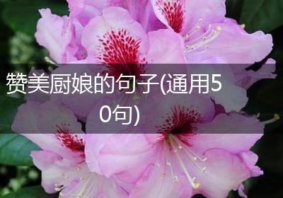 赞美厨娘的句子(通用50句)
