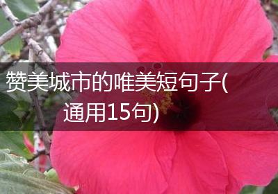 赞美城市的唯美短句子(通用15句)