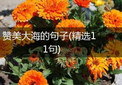 赞美大海的句子(精选11句)