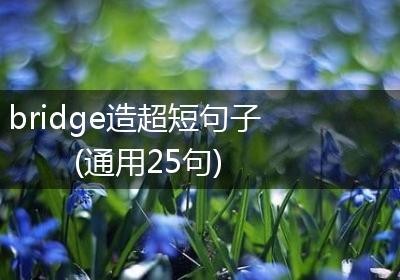 bridge造超短句子(通用25句)