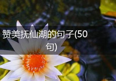 赞美抚仙湖的句子(50句)