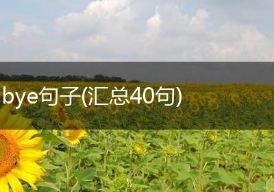 bye句子(汇总40句)