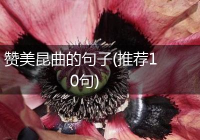 赞美昆曲的句子(推荐10句)