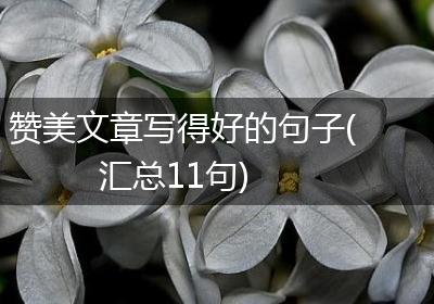 赞美文章写得好的句子(汇总11句)