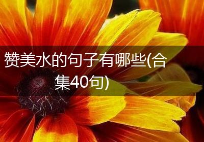赞美水的句子有哪些(合集40句)