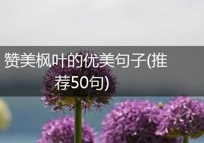 赞美枫叶的优美句子(推荐50句)