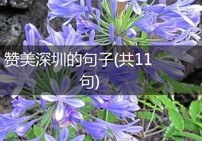 赞美深圳的句子(共11句)