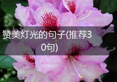 赞美灯光的句子(推荐30句)