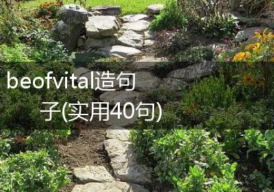 beofvital造句子(实用40句)