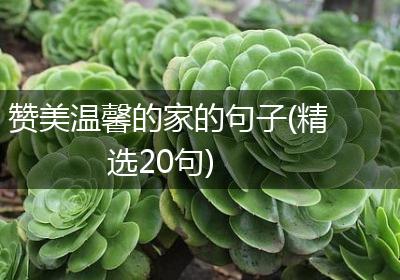 赞美温馨的家的句子(精选20句)