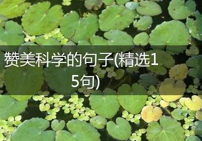 赞美科学的句子(精选15句)