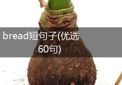 bread短句子(优选60句)