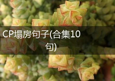 CP塌房句子(合集10句)