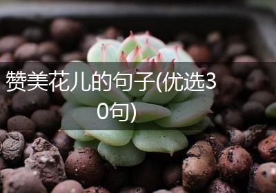 赞美花儿的句子(优选30句)