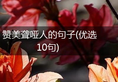 赞美聋哑人的句子(优选10句)