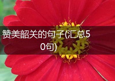 赞美韶关的句子(汇总50句)