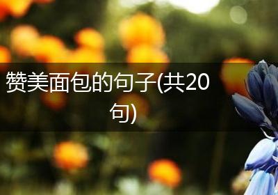 赞美面包的句子(共20句)